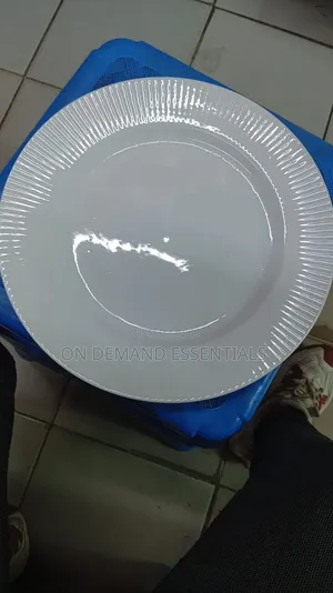 Dinner Plate With Lines