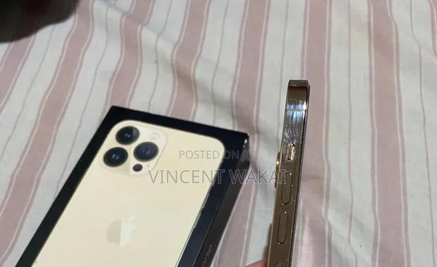 Apple iPhone 13 Pro Max 512 GB Gold - thumbnail 5