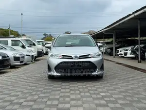 Toyota Corolla Fielder 2019 Silver