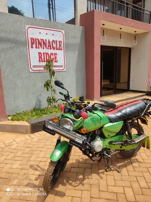 Bajaj Boxer 150 UG 2024 Green