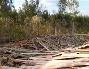 Dry Firewood for Home, Hotel and School Use