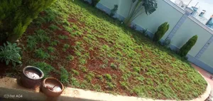Landscaping Services,beauty in Your Compound