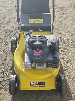 Wasp Gasoline Lawnmower (Model: WSP1840)