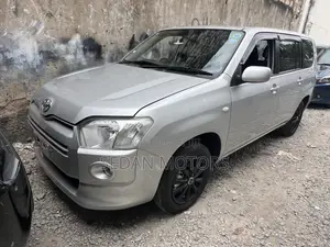 Toyota Succeed 2020 Gray