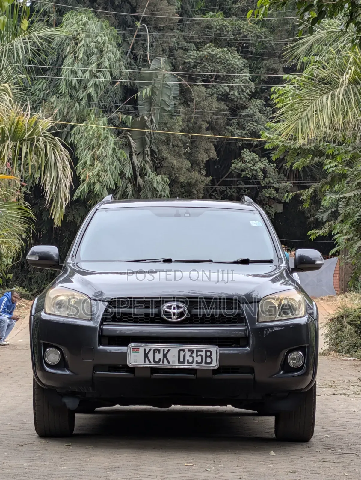 Toyota RAV4 2010 Gray