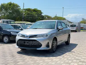 Toyota Axio 2019 Silver