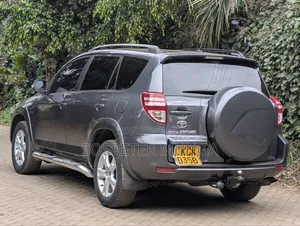 Toyota RAV4 2010 Gray