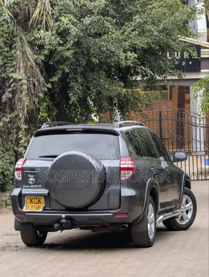 Toyota RAV4 2010 Gray