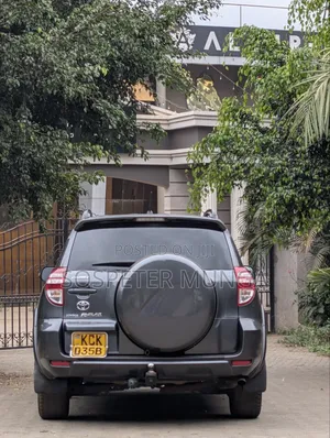 Toyota RAV4 2010 Gray