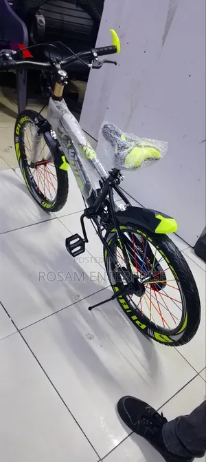 Beijing Bicycle Size 20 Bike
