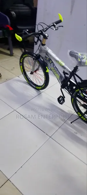 Beijing Bicycle Size 20 Bike