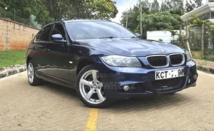 BMW 318i 2011 Blue