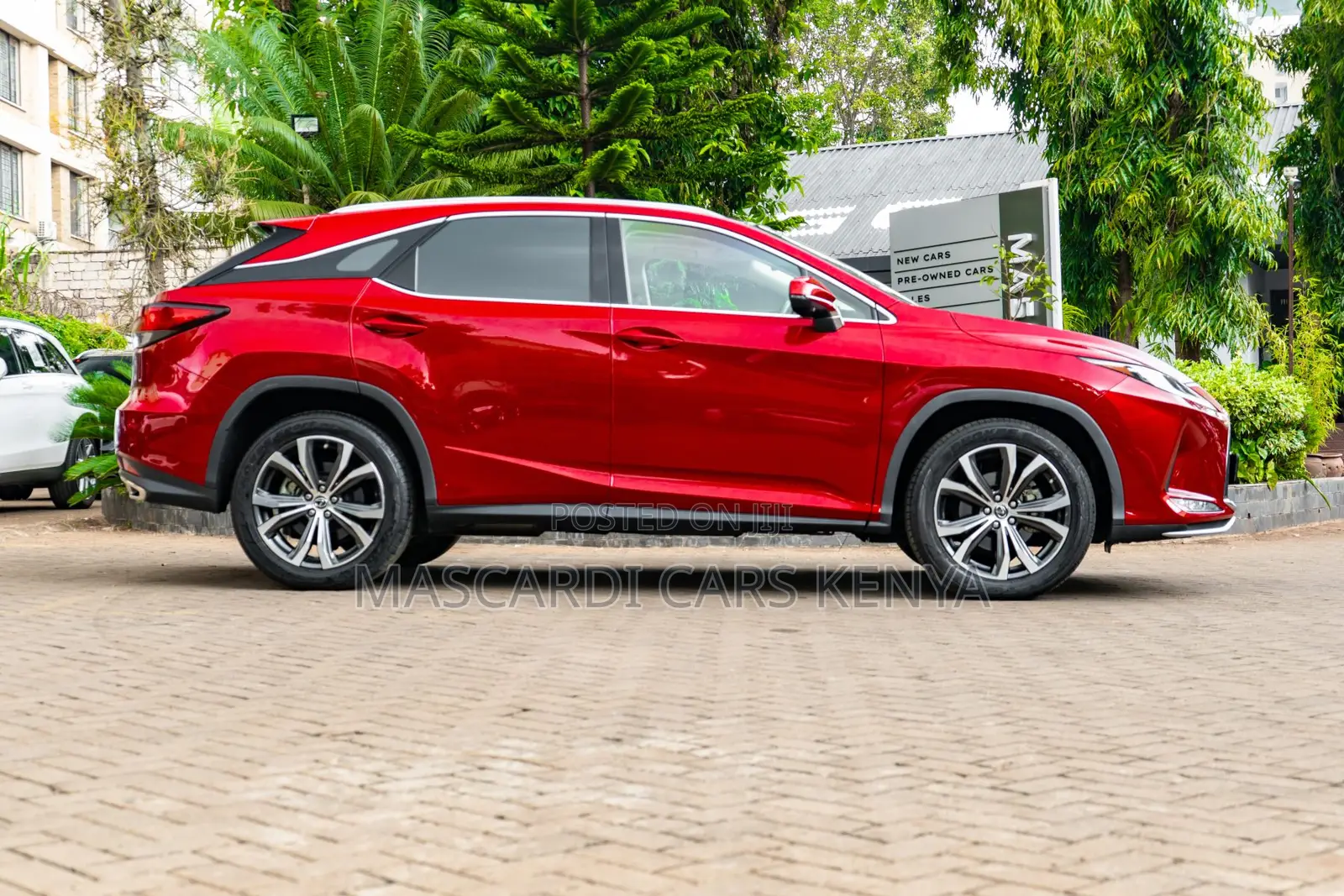Lexus RX 300 2WD 2019 Red