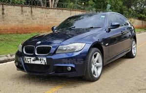 BMW 318i 2011 Blue
