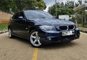 BMW 318i 2011 Blue