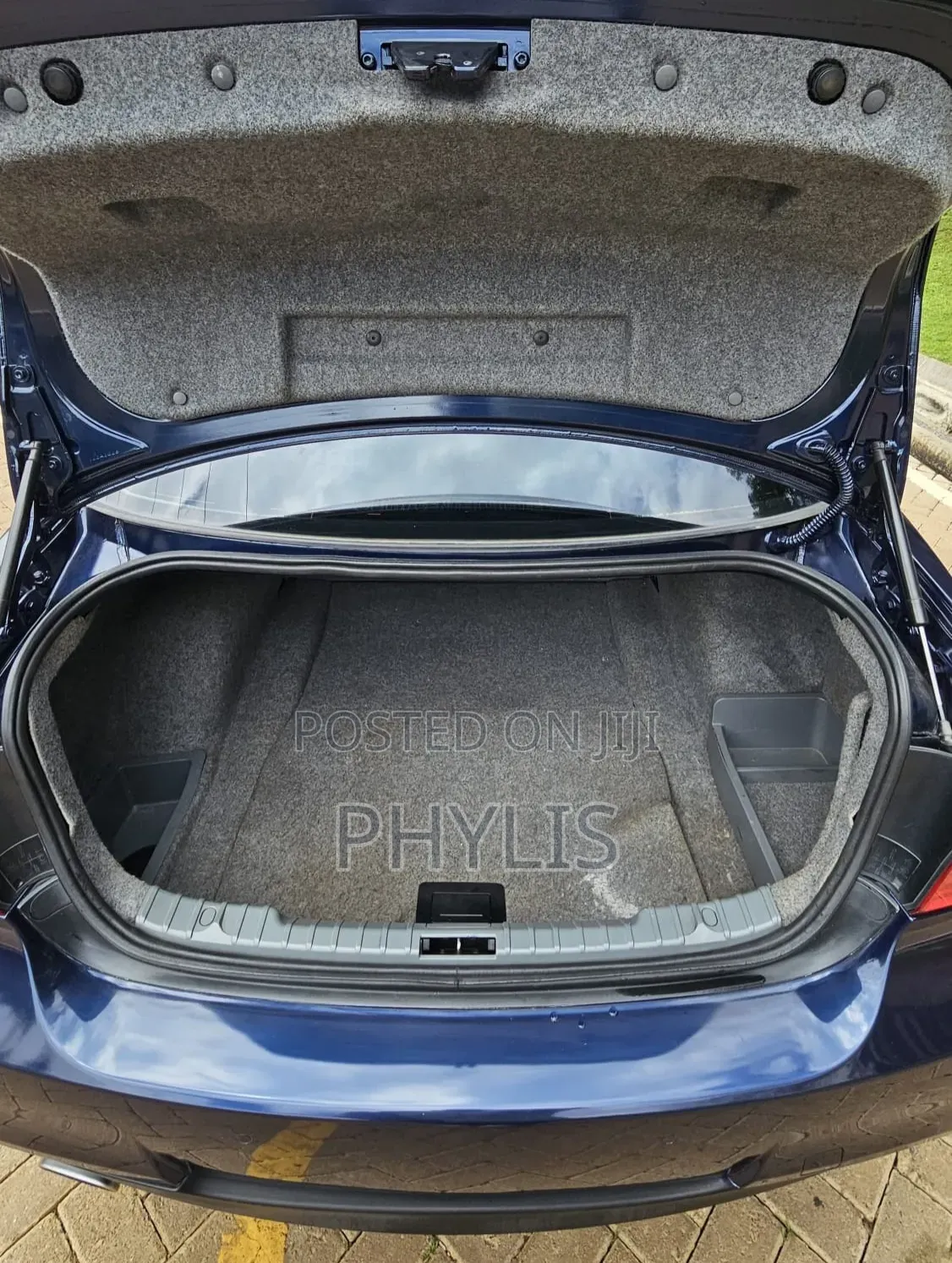 BMW 318i 2011 Blue