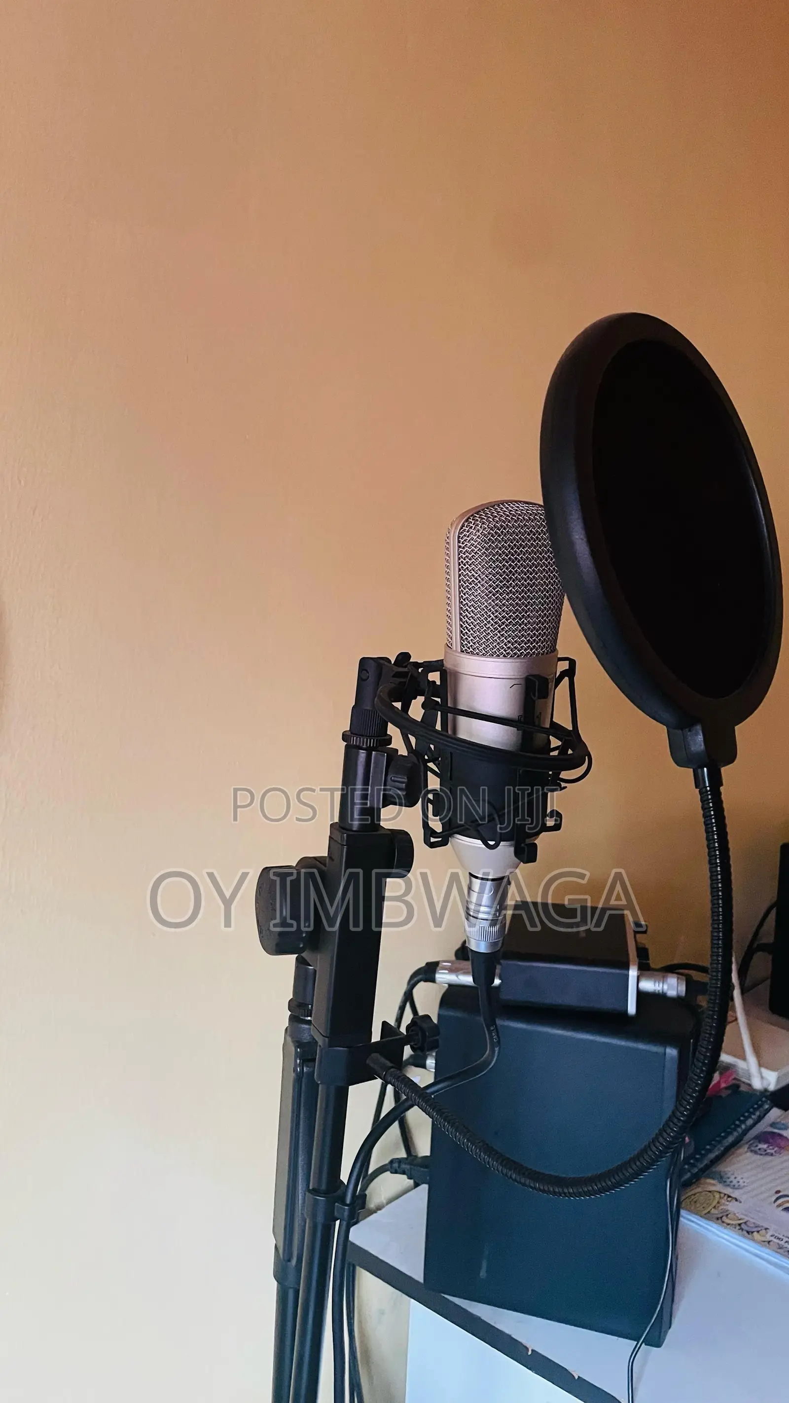 Behringer B-1 Studio Condenser