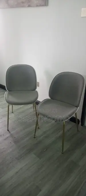 2 Study/Dining Chairs.