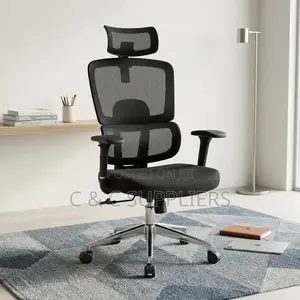 High Back Mesh Home Task Chair.