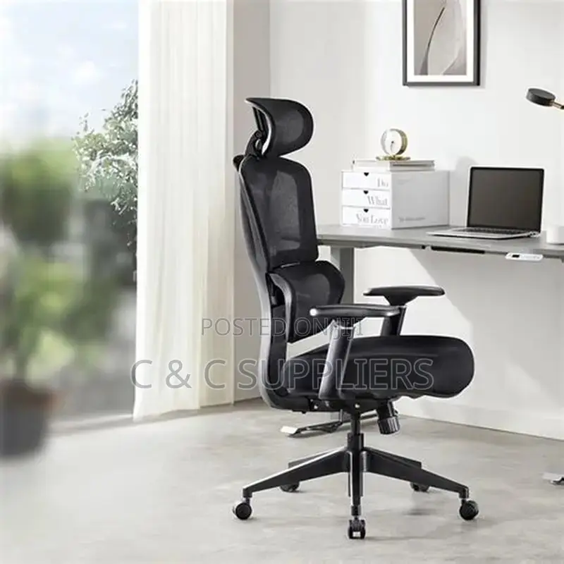 High Back Mesh Home Task Chair.