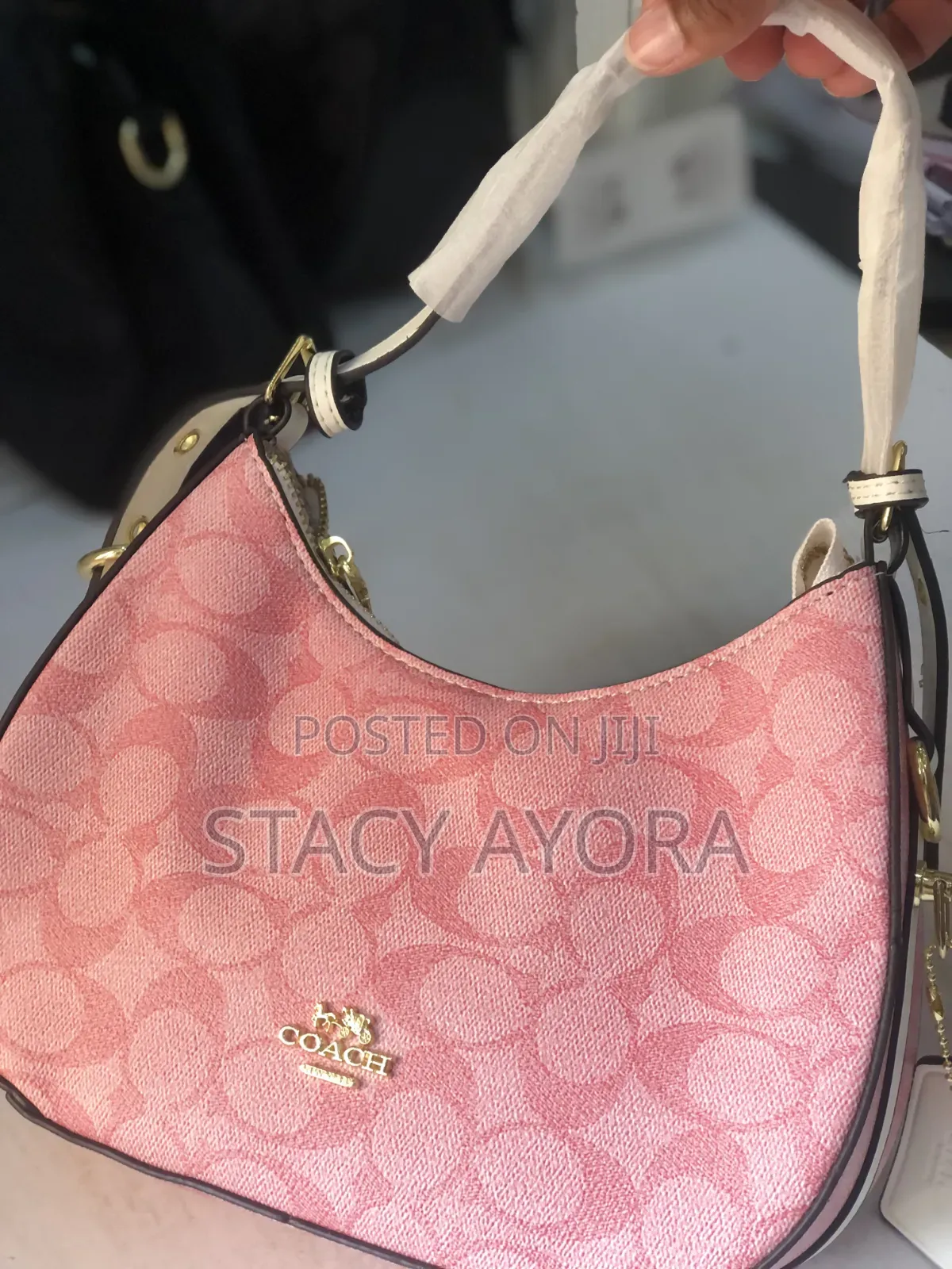 Pink Moon Coach Bag