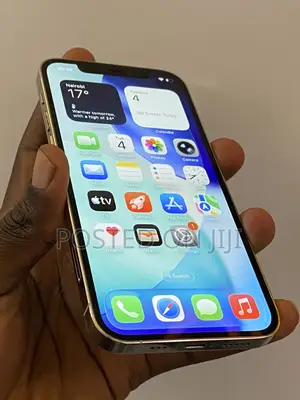 Apple iPhone 12 Pro 256 GB Silver