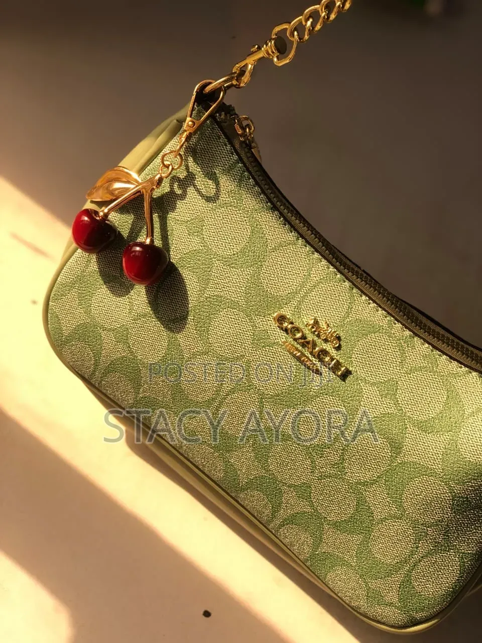 Sage Green Coach Teri