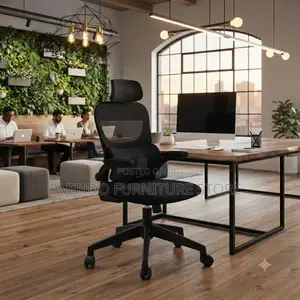 Office Chairs; Orthopedic Star Based Office Chairs