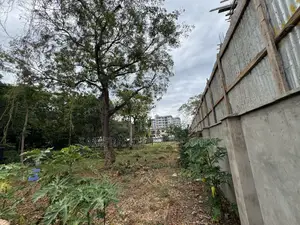Prime 2 Acres on Sale Mama Ngina Drive Nyali