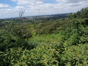 50 Acres for Sale in Athi-River Devki