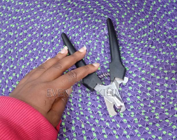 Professional Dog Clipper - main view