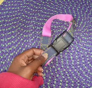 Denim Pet Collar for Dogs