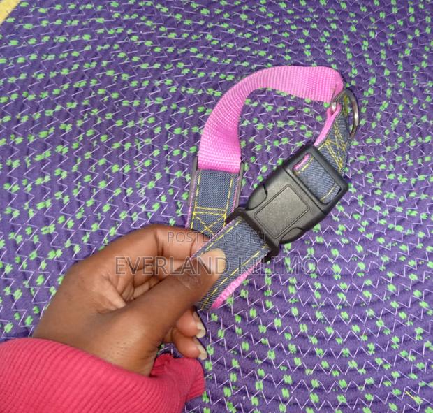 Denim Pet Collar for Dogs