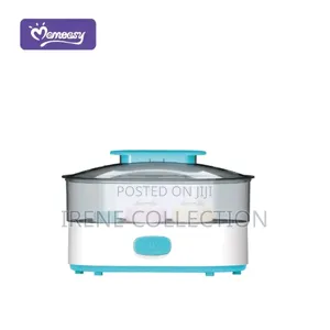 Electric Steam Sterilizer