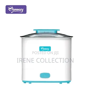 Electric Steam Sterilizer