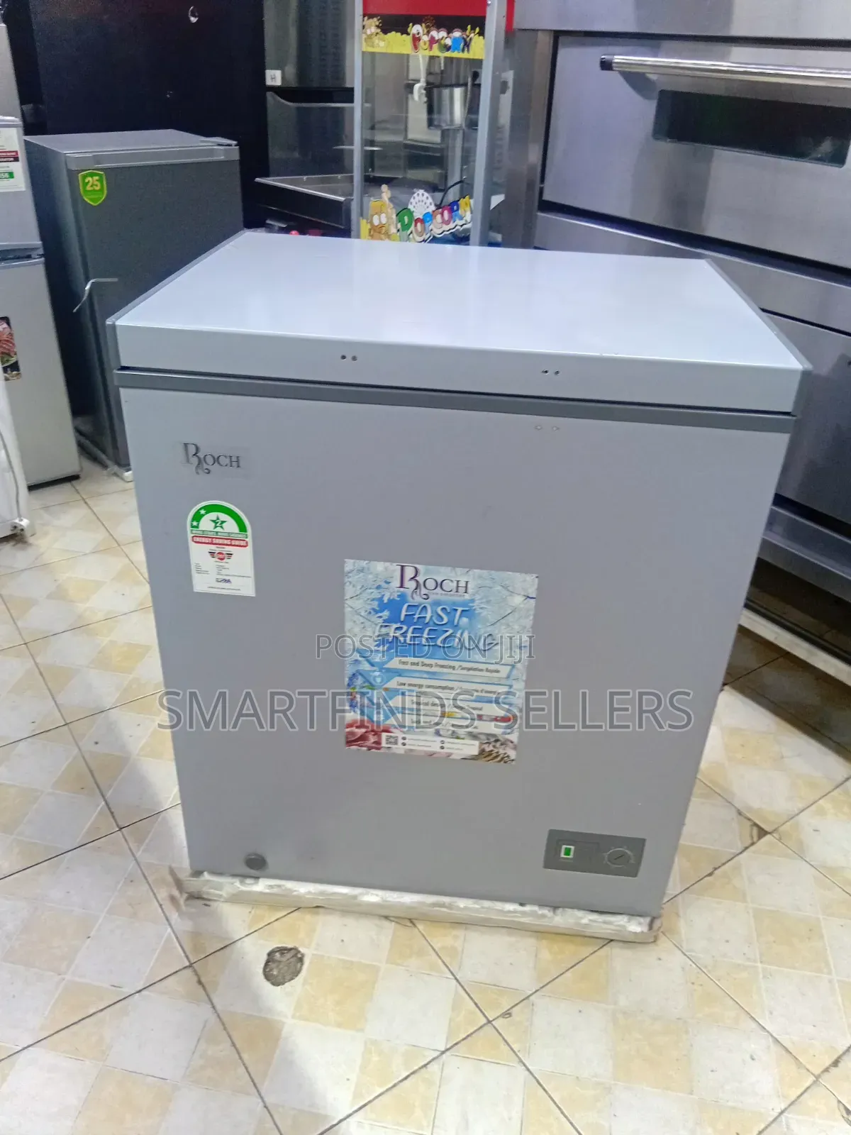 Roch Freezer – Energy Efficient Deep Freezing Solution