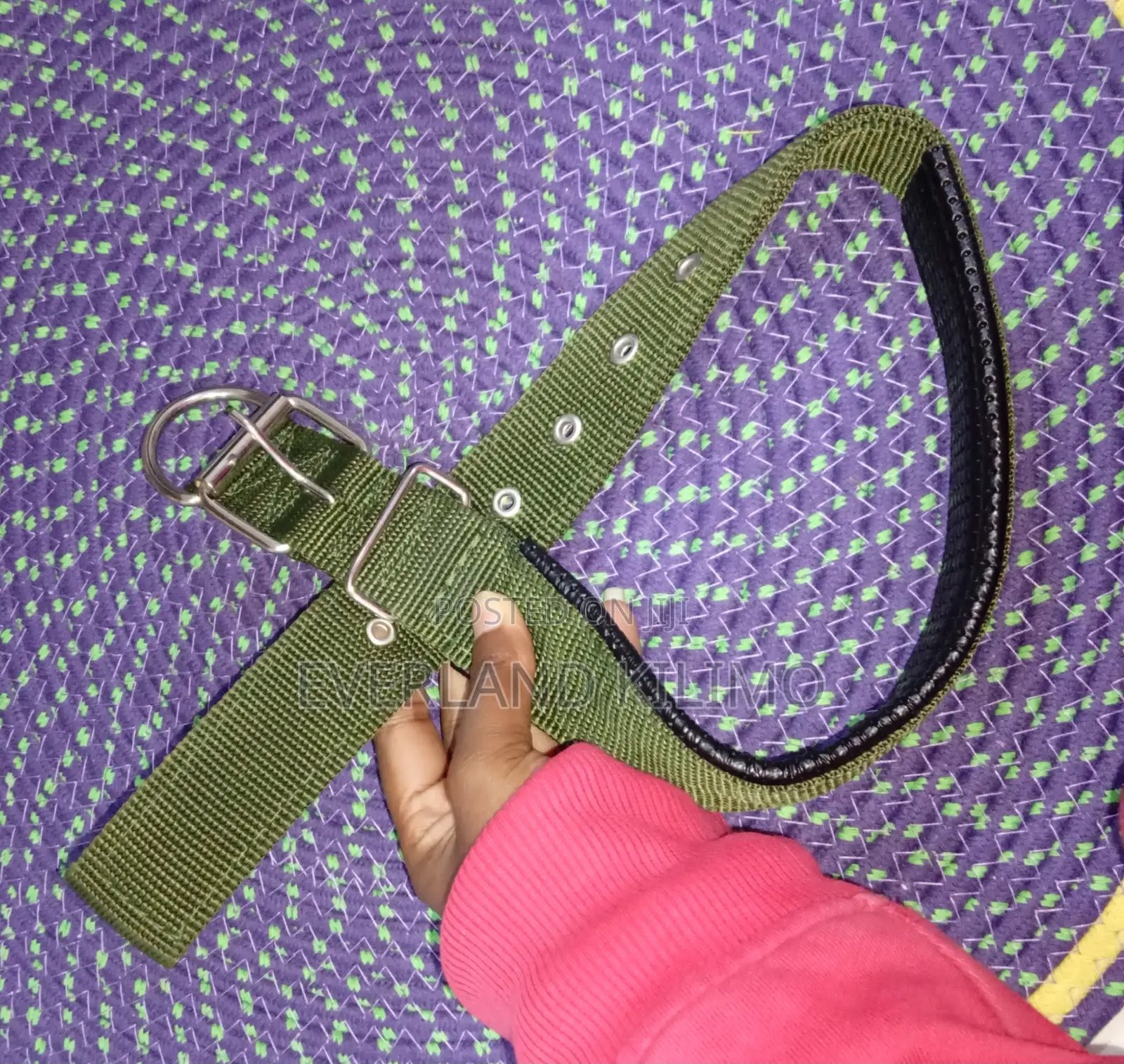 Adjustable Dog Collar