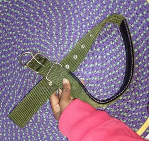 Adjustable Dog Collar