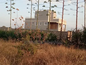 Prime Residential Plot in Jujafarm Mastoo 