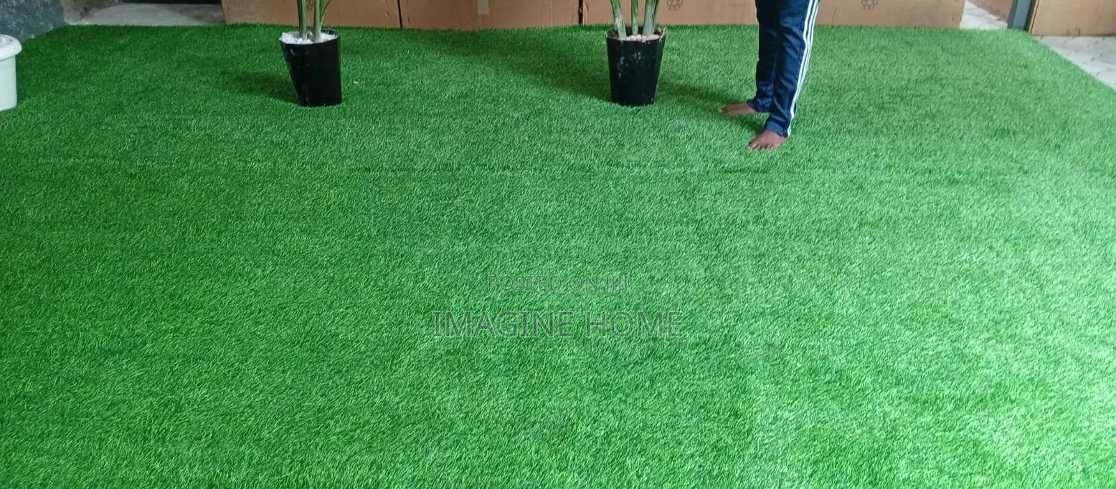 Beautiful Green Turf Grass Carpet