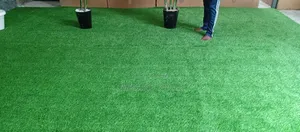 Beautiful Green Turf Grass Carpet