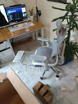 Egornomic Executive Office Mesh Chair