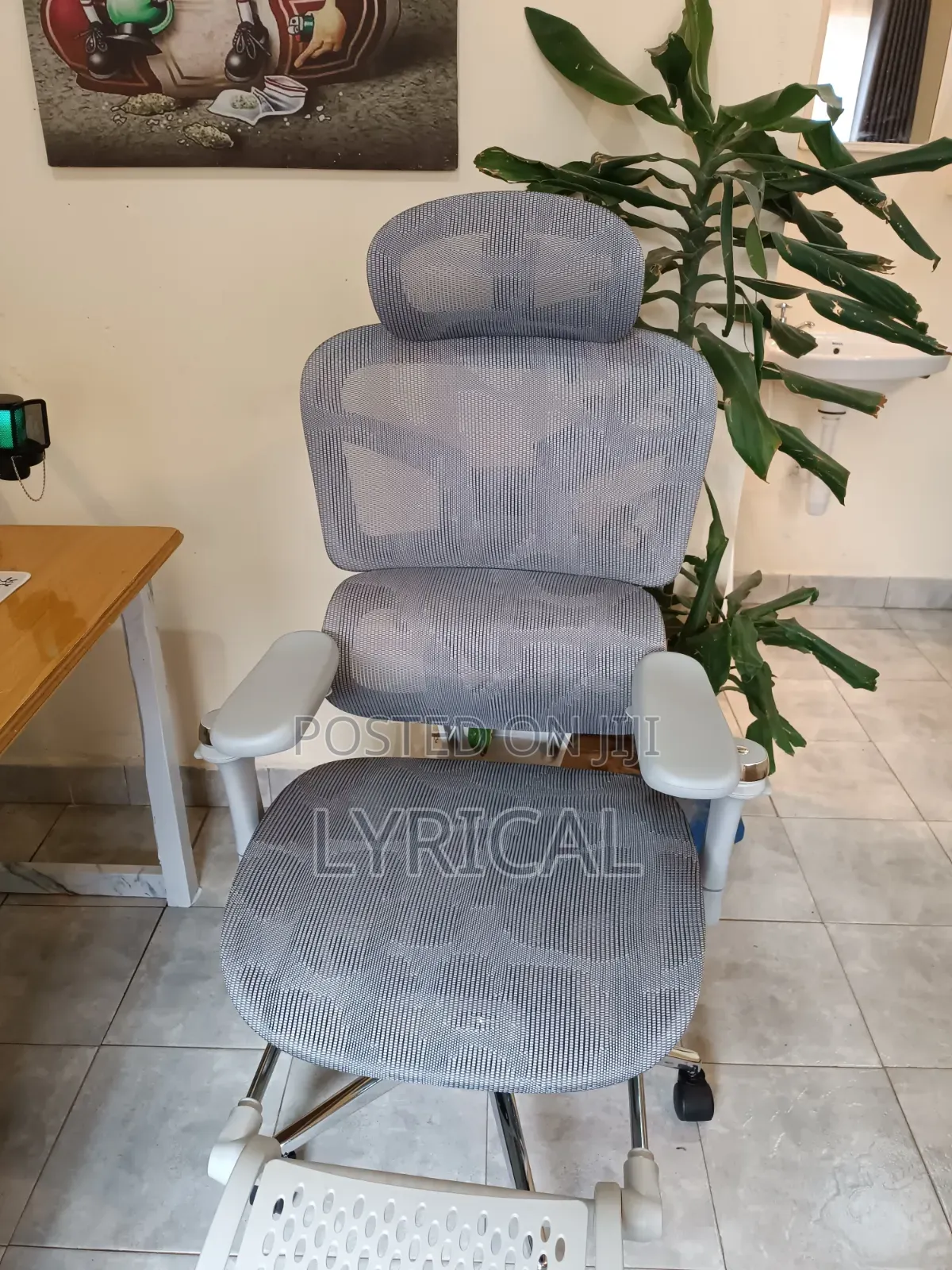 Egornomic Executive Office Mesh Chair