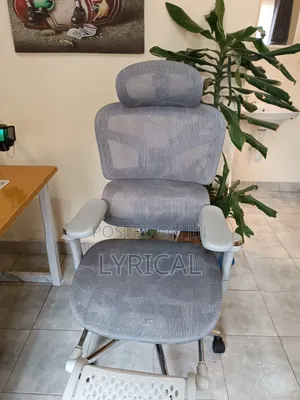 Egornomic Executive Office Mesh Chair