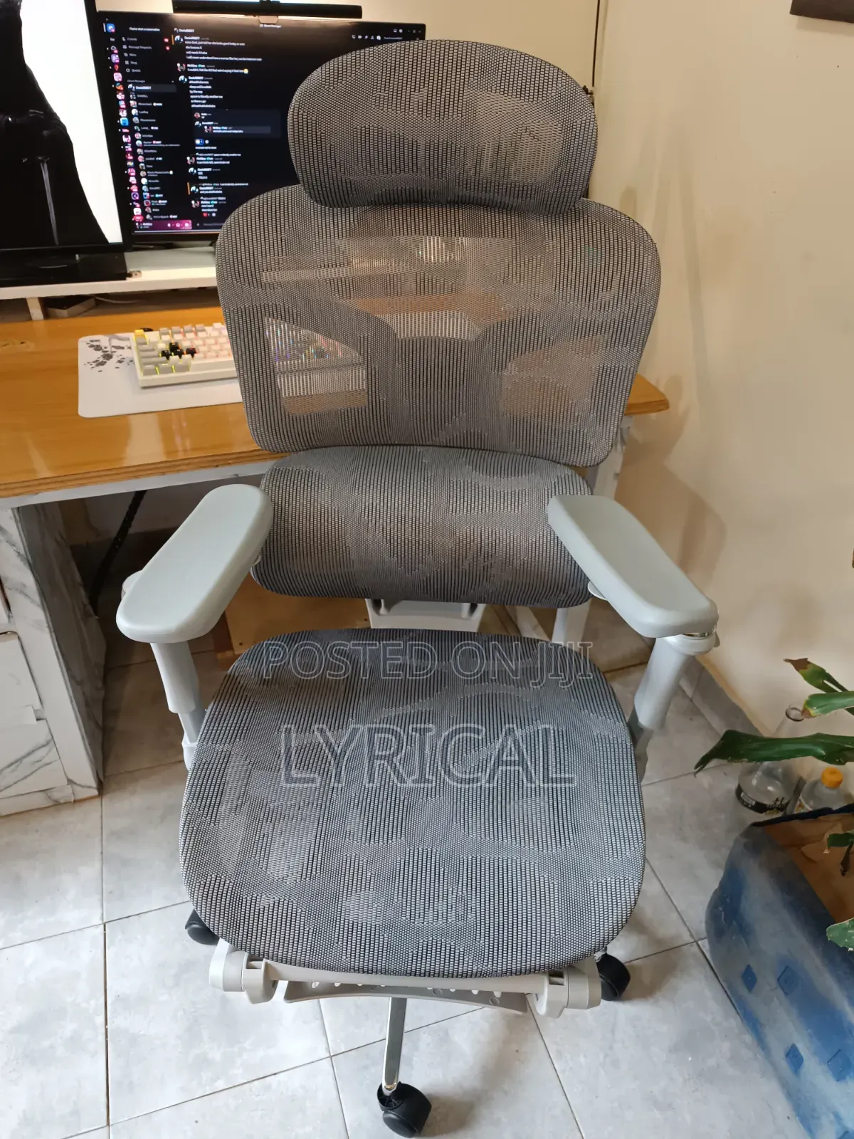 Egornomic Executive Office Mesh Chair