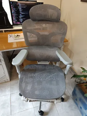 Egornomic Executive Office Mesh Chair