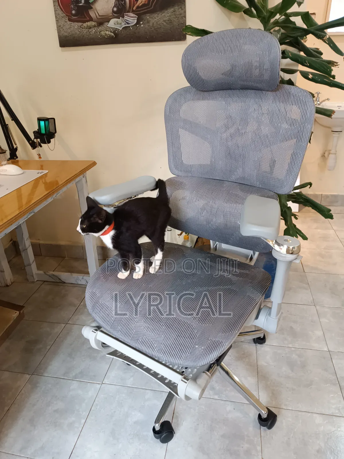 Egornomic Executive Office Mesh Chair