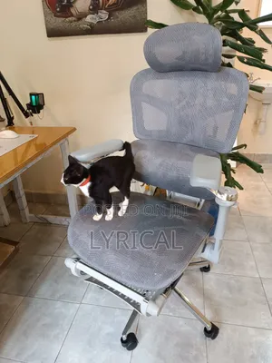 Egornomic Executive Office Mesh Chair