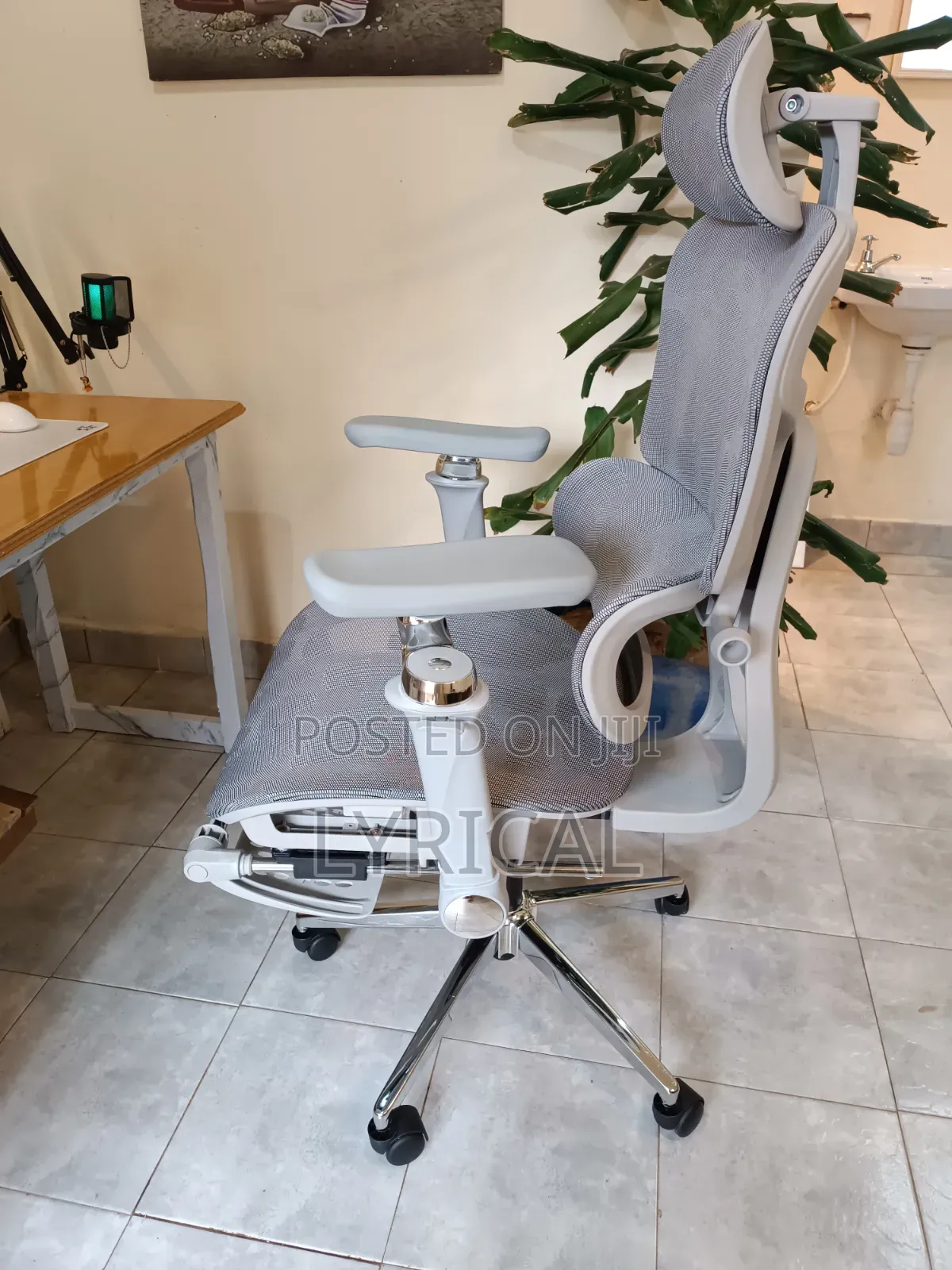 Egornomic Executive Office Mesh Chair