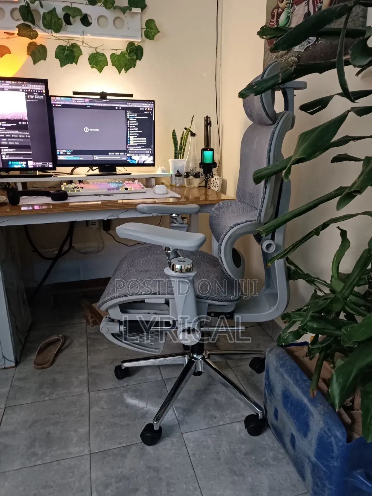 Egornomic Executive Office Mesh Chair